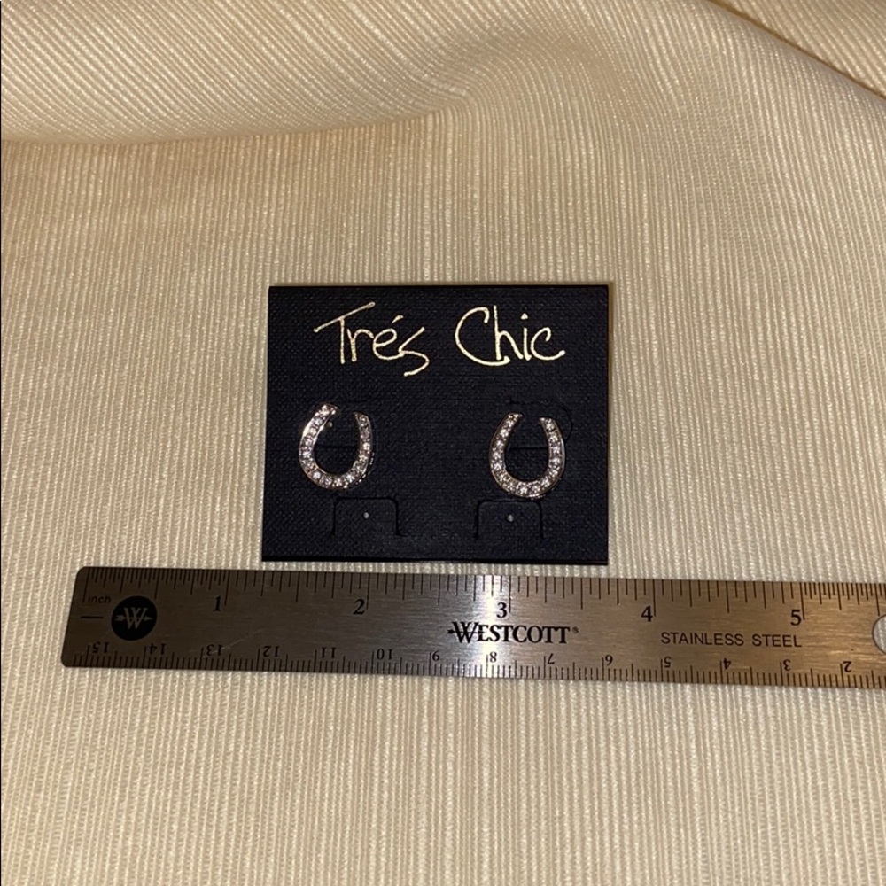Horseshoe earrings.